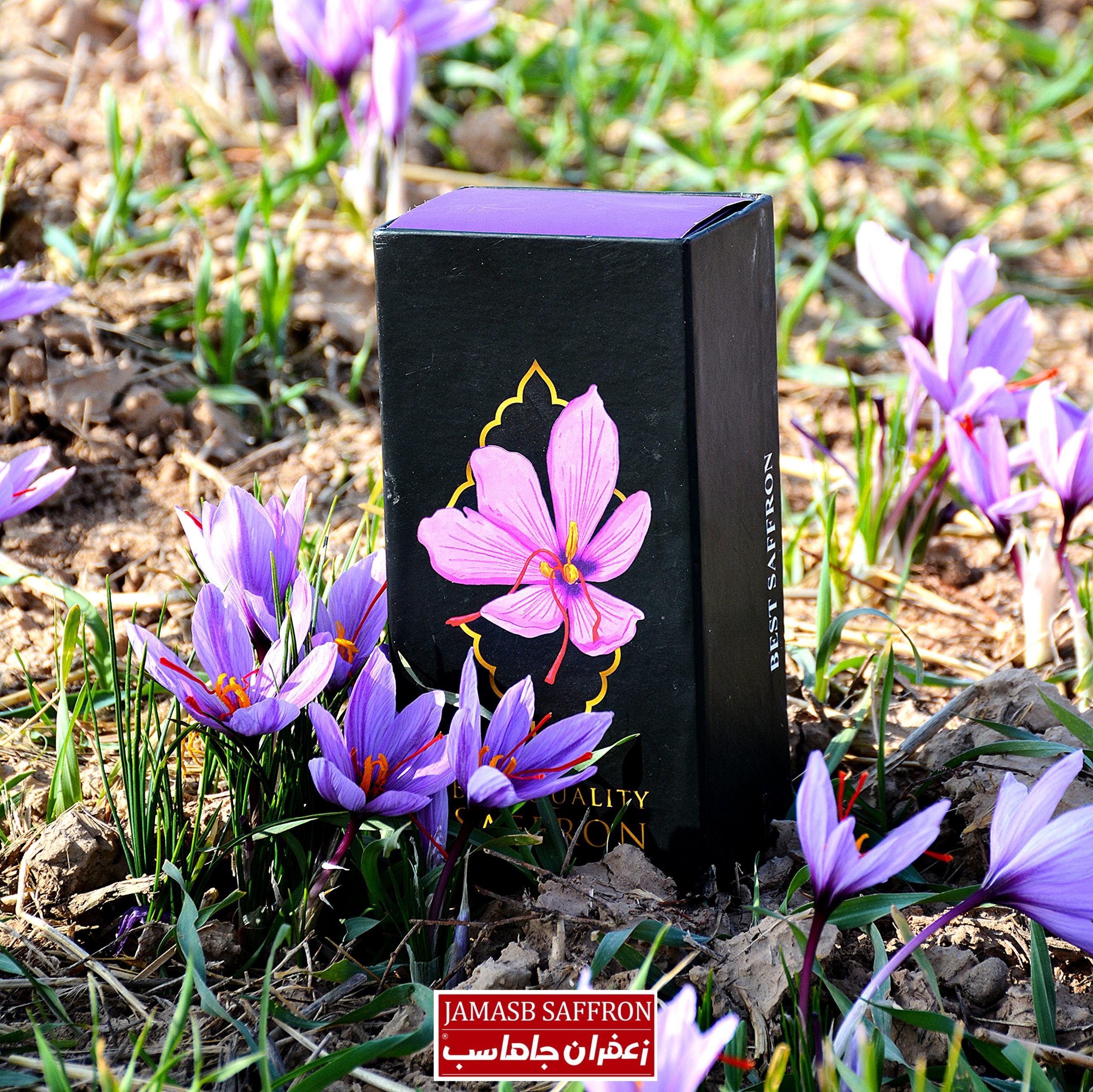 پک هدیه زعفران سوپر نگین در هارد باکس صادراتی